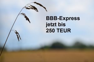 jetzt bis 250 TEUR